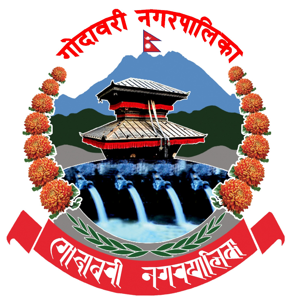 Local Government Logo